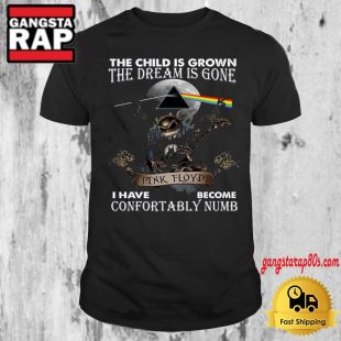 The Child Is Grown The Dream Is Gone I Have Become Confortably Numb Pink Floyd T Shirt