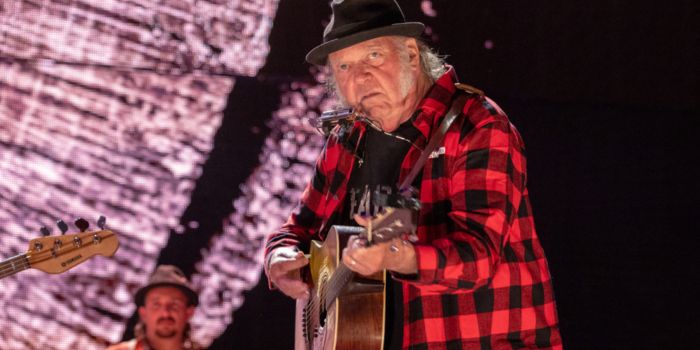 has neil young resumed streaming on spotify