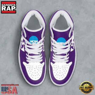 NCAA Albany Great Danes Grunge Style Custom Air Jordan 1 Shoes