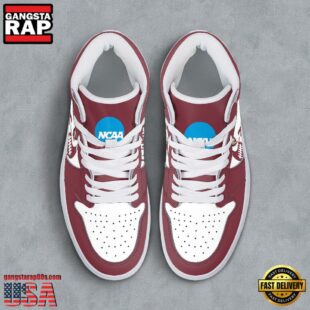 NCAA Florida State Seminoles Grunge Style Custom Air Jordan 1 Shoes