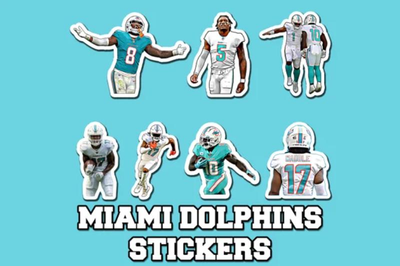 Miami Dolphins fan gifts 3